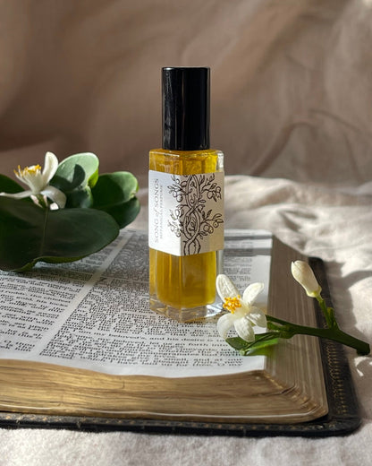 Biblical Perfume Song Of Songs front clear bottle